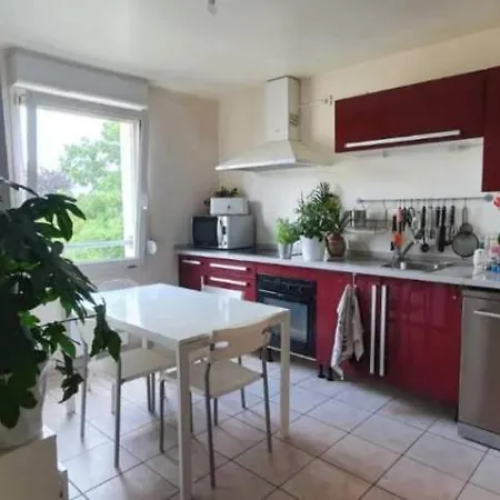 Le Cocon Room&spa Appartamento Nancy